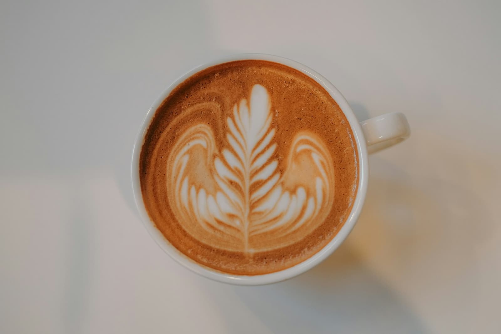 A cappuccino with a leaf pattern in the foam